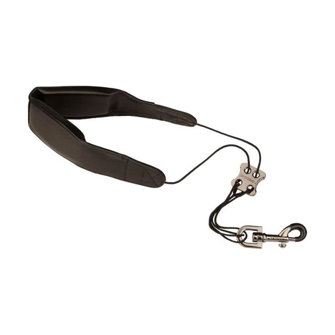 Hovedbilde Protec LC310M 